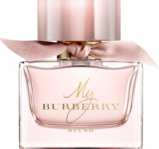 My Burberry Blush