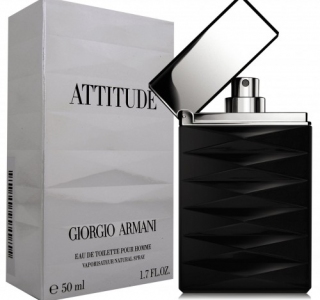 Attitude