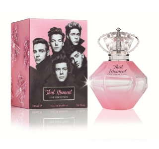One Direction That Moment