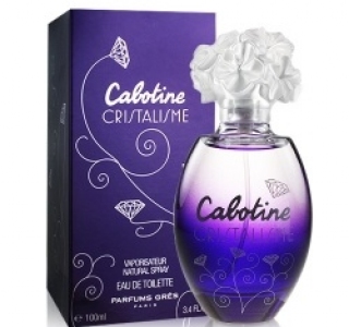CABOTINE CRISTALISME