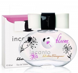 Incanto Bloom